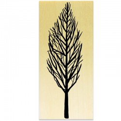 COLLECTION - Branches Hivernales - Arbre Hiver