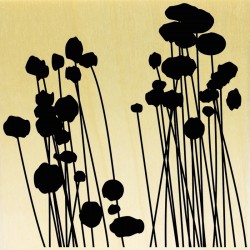 COLLECTION - Silhouettes de Plantes - Fleurs de Coton