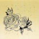 COLLECTION - Enjoy Flowers - Roses et boutons de rose