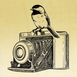 COLLECTION - Le Petit Oiseau va sortir - Appareil Photo Vintage