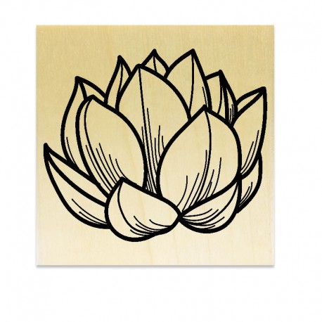 COLLECTION - Histoire de Fleurs - Fleur de Lotus